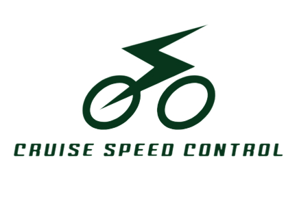 Cruise Speed Control